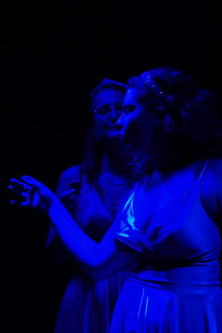 Prinzessinnen – (k)ein Märchen